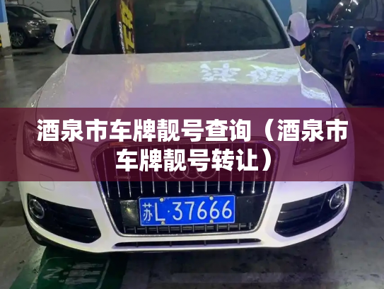 酒泉市车牌靓号查询（酒泉市车牌靓号转让）-第3张图片-七号汽车选号