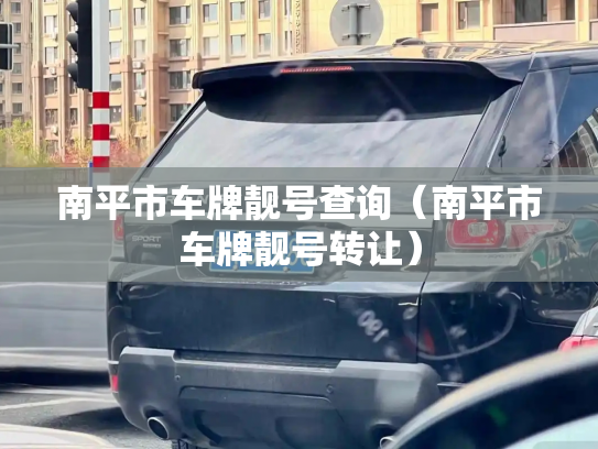 南平市车牌靓号查询（南平市车牌靓号转让）-第2张图片-七号汽车选号
