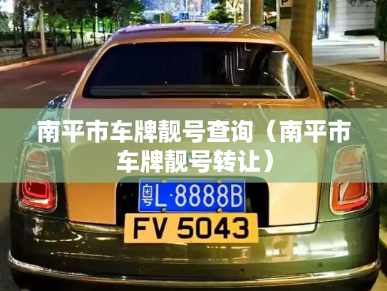 南平市车牌靓号查询（南平市车牌靓号转让）-第3张图片-七号汽车选号