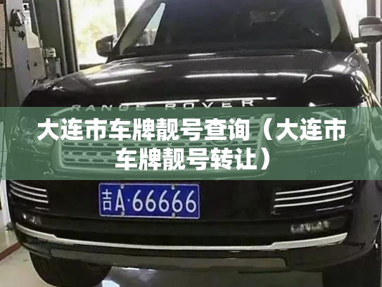 大连市车牌靓号查询(大连市车牌靓号转让)-第2张图片-七号汽车选号 大连市车牌靓号查询(大连市车牌靓号转让)-第2张图片-七号汽车选号