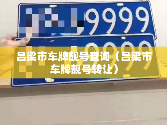 吕梁市车牌靓号查询（吕梁市车牌靓号转让）