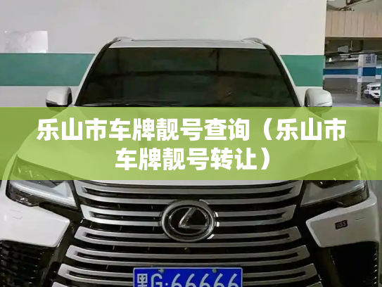 乐山市车牌靓号查询(乐山市车牌靓号转让)-第2张图片-七号汽车选号 乐山市车牌靓号查询(乐山市车牌靓号转让)-第2张图片-七号汽车选号