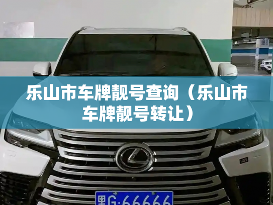 乐山市车牌靓号查询(乐山市车牌靓号转让)-第3张图片-七号汽车选号 乐山市车牌靓号查询(乐山市车牌靓号转让)-第3张图片-七号汽车选号