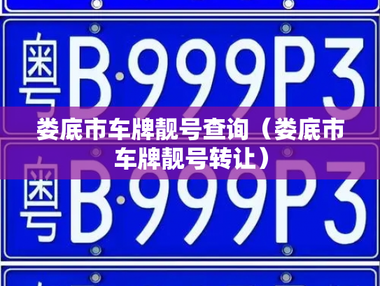 娄底市车牌靓号查询(娄底市车牌靓号转让)-第2张图片-七号汽车选号 娄底市车牌靓号查询(娄底市车牌靓号转让)-第2张图片-七号汽车选号
