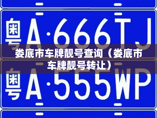 娄底市车牌靓号查询(娄底市车牌靓号转让)-第3张图片-七号汽车选号 娄底市车牌靓号查询(娄底市车牌靓号转让)-第3张图片-七号汽车选号