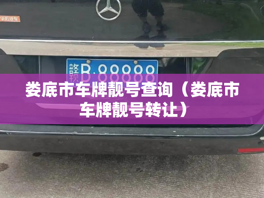 娄底市车牌靓号查询（娄底市车牌靓号转让）