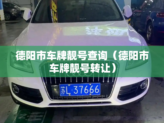 德阳市车牌靓号查询(德阳市车牌靓号转让)-第3张图片-七号汽车选号 德阳市车牌靓号查询(德阳市车牌靓号转让)-第3张图片-七号汽车选号