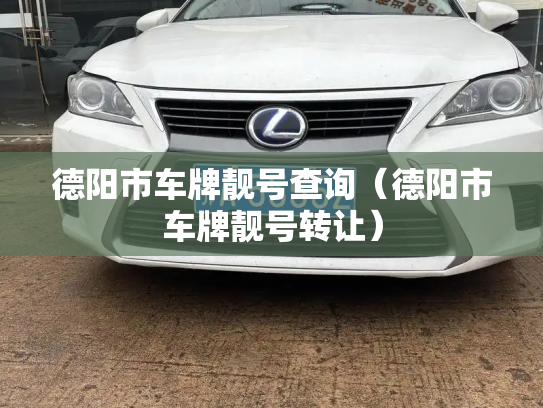 德阳市车牌靓号查询（德阳市车牌靓号转让）