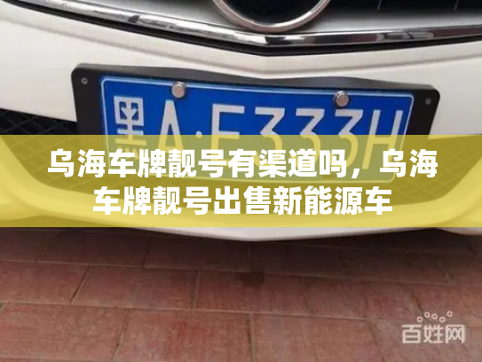 乌海车牌靓号有渠道吗，乌海车牌靓号出售新能源车-第3张图片-七号汽车选号