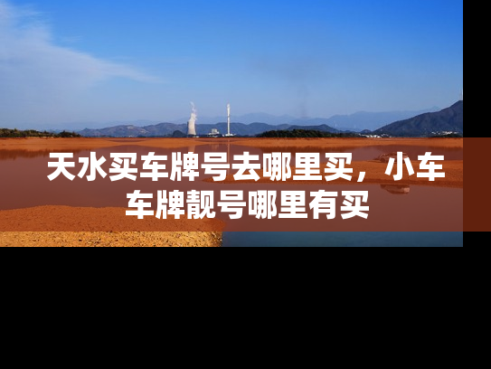 天水买车牌号去哪里买，小车车牌靓号哪里有买