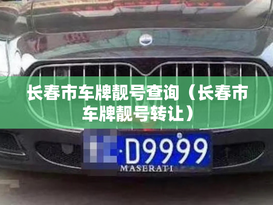长春市车牌靓号查询(长春市车牌靓号转让)-第3张图片-七号汽车选号 长春市车牌靓号查询(长春市车牌靓号转让)-第3张图片-七号汽车选号