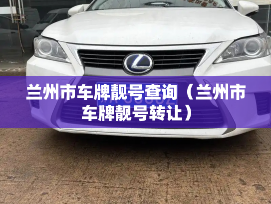 兰州市车牌靓号查询（兰州市车牌靓号转让）-第2张图片-七号汽车选号