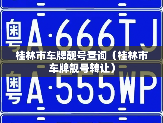桂林市车牌靓号查询(桂林市车牌靓号转让)-第2张图片-七号汽车选号 桂林市车牌靓号查询(桂林市车牌靓号转让)-第2张图片-七号汽车选号