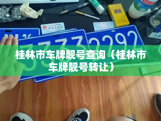 桂林市车牌靓号查询(桂林市车牌靓号转让)-第3张图片-七号汽车选号 桂林市车牌靓号查询(桂林市车牌靓号转让)-第3张图片-七号汽车选号