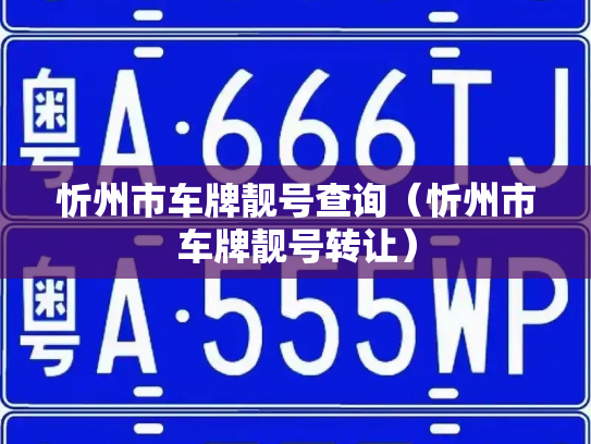 忻州市车牌靓号查询(忻州市车牌靓号转让)-第2张图片-七号汽车选号 忻州市车牌靓号查询(忻州市车牌靓号转让)-第2张图片-七号汽车选号