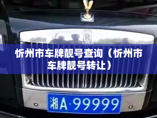 忻州市车牌靓号查询（忻州市车牌靓号转让）
