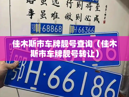 佳木斯市车牌靓号查询（佳木斯市车牌靓号转让）-第3张图片-七号汽车选号