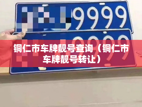 铜仁市车牌靓号查询（铜仁市车牌靓号转让）