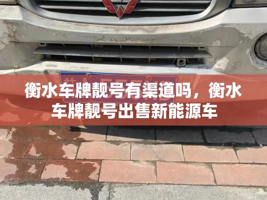 衡水车牌靓号有渠道吗，衡水车牌靓号出售新能源车-第2张图片-七号汽车选号