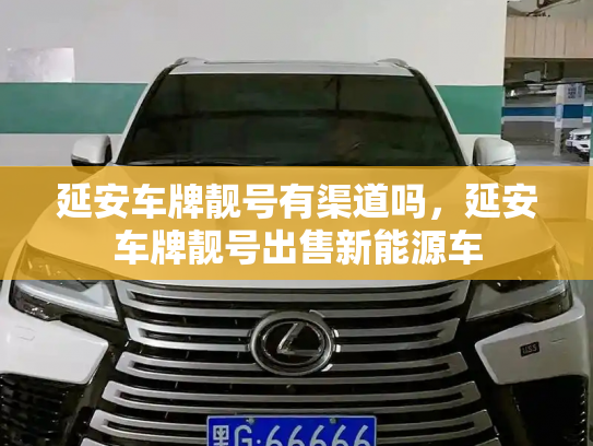 延安车牌靓号有渠道吗，延安车牌靓号出售新能源车-第2张图片-七号汽车选号
