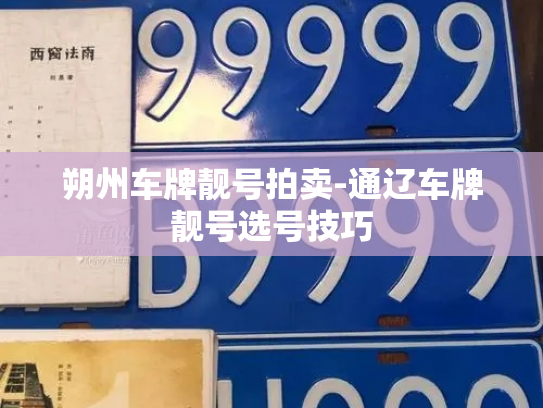 朔州车牌靓号拍卖-通辽车牌靓号选号技巧-第2张图片-七号汽车选号