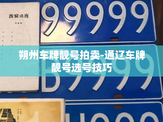 朔州车牌靓号拍卖-通辽车牌靓号选号技巧-第3张图片-七号汽车选号