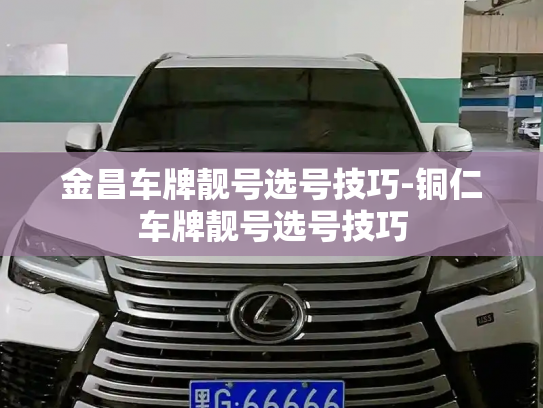 金昌车牌靓号选号技巧-铜仁车牌靓号选号技巧-第3张图片-七号汽车选号 金昌车牌靓号选号技巧-铜仁车牌靓号选号技巧-第3张图片-七号汽车选号