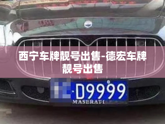 西宁车牌靓号出售-德宏车牌靓号出售-第2张图片-七号汽车选号 西宁车牌靓号出售-德宏车牌靓号出售-第2张图片-七号汽车选号