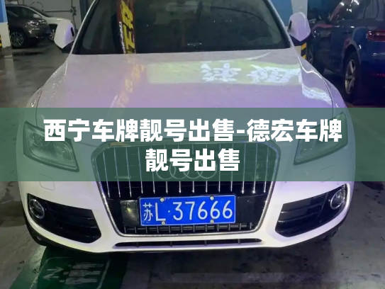 西宁车牌靓号出售-德宏车牌靓号出售-第3张图片-七号汽车选号 西宁车牌靓号出售-德宏车牌靓号出售-第3张图片-七号汽车选号