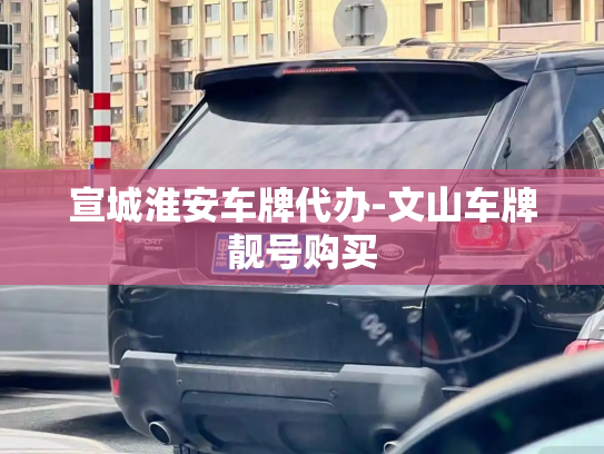 宣城淮安车牌代办-文山车牌靓号购买-第2张图片-七号汽车选号