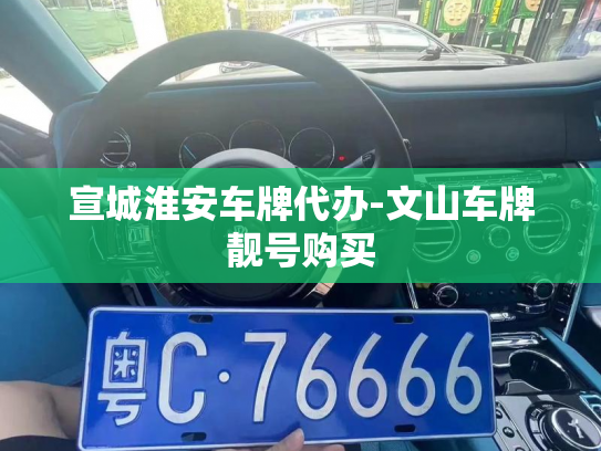 宣城淮安车牌代办-文山车牌靓号购买-第3张图片-七号汽车选号
