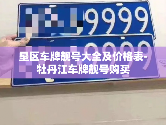 垦区车牌靓号大全及价格表-牡丹江车牌靓号购买-第3张图片-七号汽车选号