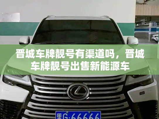 晋城车牌靓号有渠道吗,晋城车牌靓号出售新能源车-第2张图片-七号汽车选号 晋城车牌靓号有渠道吗,晋城车牌靓号出售新能源车-第2张图片-七号汽车选号