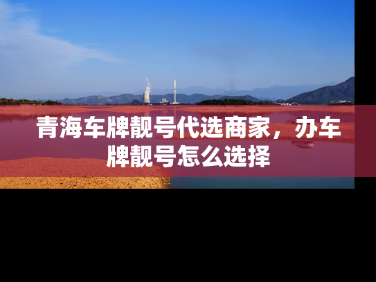 青海车牌靓号代选商家，办车牌靓号怎么选择
