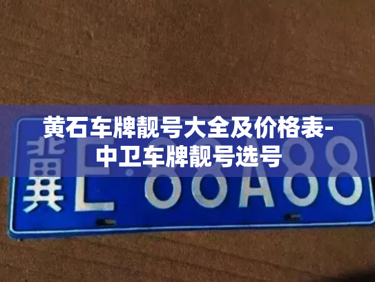 黄石车牌靓号大全及价格表-中卫车牌靓号选号-第3张图片-七号汽车选号