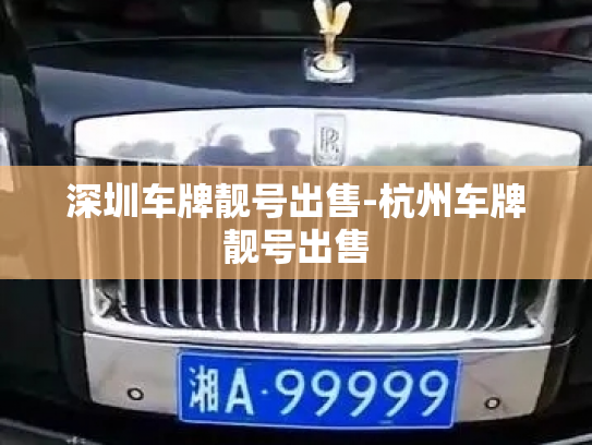 深圳车牌靓号出售-杭州车牌靓号出售-第3张图片-七号汽车选号 深圳车牌靓号出售-杭州车牌靓号出售-第3张图片-七号汽车选号