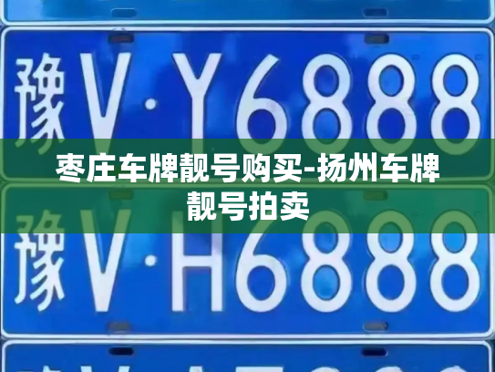 枣庄车牌靓号购买-扬州车牌靓号拍卖-第3张图片-七号汽车选号 枣庄车牌靓号购买-扬州车牌靓号拍卖-第3张图片-七号汽车选号