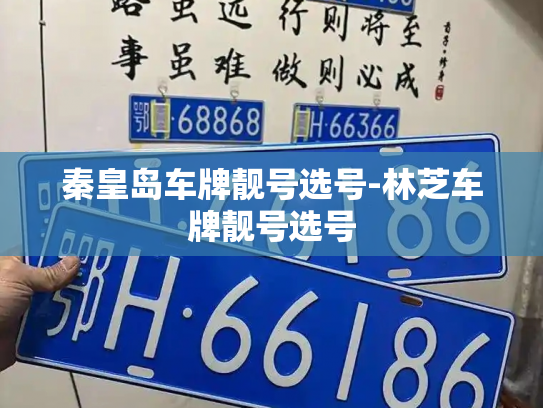 秦皇岛车牌靓号选号-林芝车牌靓号选号-第2张图片-七号汽车选号 秦皇岛车牌靓号选号-林芝车牌靓号选号-第2张图片-七号汽车选号