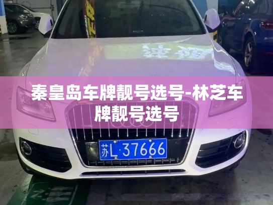 怎么卖半年稳定微信号，抗封微信老号哪里有买-第1张图片-七号汽车选号