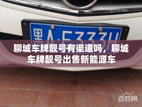 聊城车牌靓号有渠道吗，聊城车牌靓号出售新能源车-第3张图片-七号汽车选号