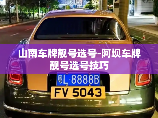 山南车牌靓号选号-阿坝车牌靓号选号技巧-第2张图片-七号汽车选号