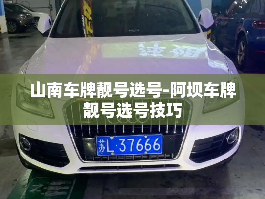 微信买号平台哪个好，抗封微信新号多少钱一个-第1张图片-七号汽车选号