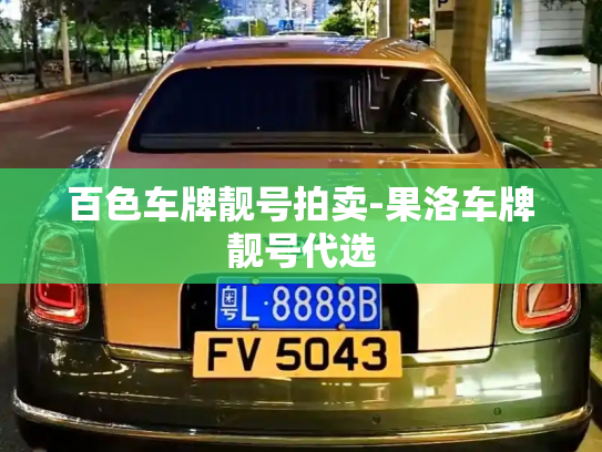 百色车牌靓号拍卖-果洛车牌靓号代选-第2张图片-七号汽车选号 百色车牌靓号拍卖-果洛车牌靓号代选-第2张图片-七号汽车选号