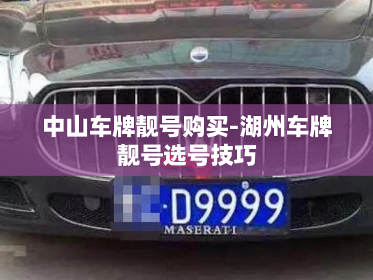 中山车牌靓号购买-湖州车牌靓号选号技巧-第2张图片-七号汽车选号 中山车牌靓号购买-湖州车牌靓号选号技巧-第2张图片-七号汽车选号