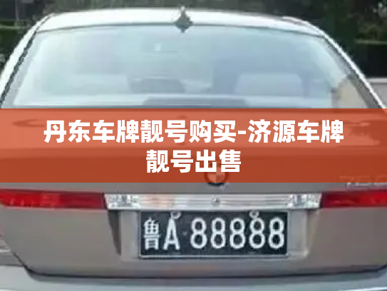 丹东车牌靓号购买-济源车牌靓号出售-第2张图片-七号汽车选号 丹东车牌靓号购买-济源车牌靓号出售-第2张图片-七号汽车选号