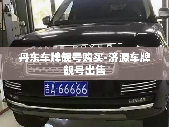 出售国内活跃微信号购买平台，网上哪里能买到稳定微信号-第1张图片-七号汽车选号