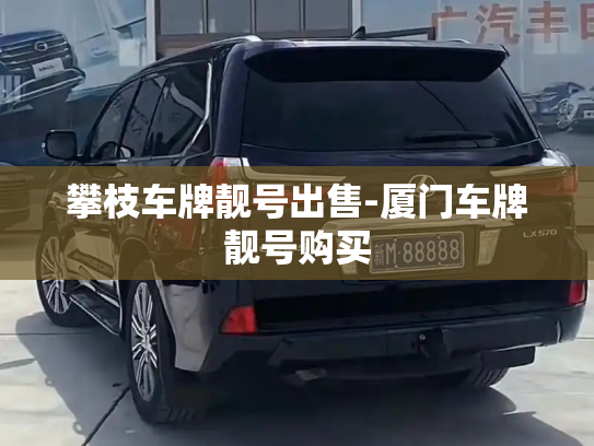 攀枝车牌靓号出售-厦门车牌靓号购买-第2张图片-七号汽车选号 攀枝车牌靓号出售-厦门车牌靓号购买-第2张图片-七号汽车选号