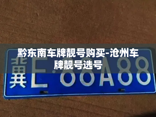 黔东南车牌靓号购买-沧州车牌靓号选号-第3张图片-七号汽车选号 黔东南车牌靓号购买-沧州车牌靓号选号-第3张图片-七号汽车选号