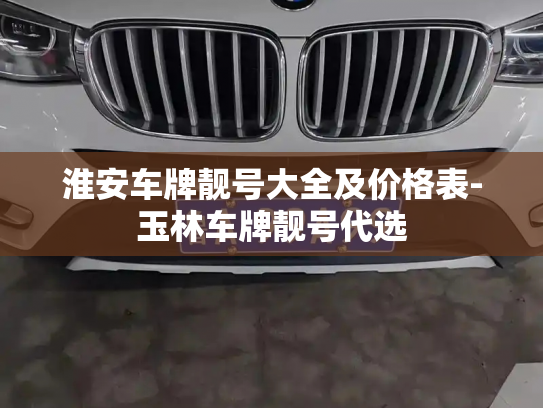 淮安车牌靓号大全及价格表-玉林车牌靓号代选-第2张图片-七号汽车选号 淮安车牌靓号大全及价格表-玉林车牌靓号代选-第2张图片-七号汽车选号