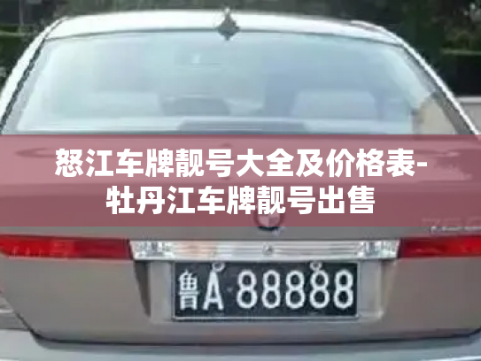 怒江车牌靓号大全及价格表-牡丹江车牌靓号出售-第3张图片-七号汽车选号 怒江车牌靓号大全及价格表-牡丹江车牌靓号出售-第3张图片-七号汽车选号